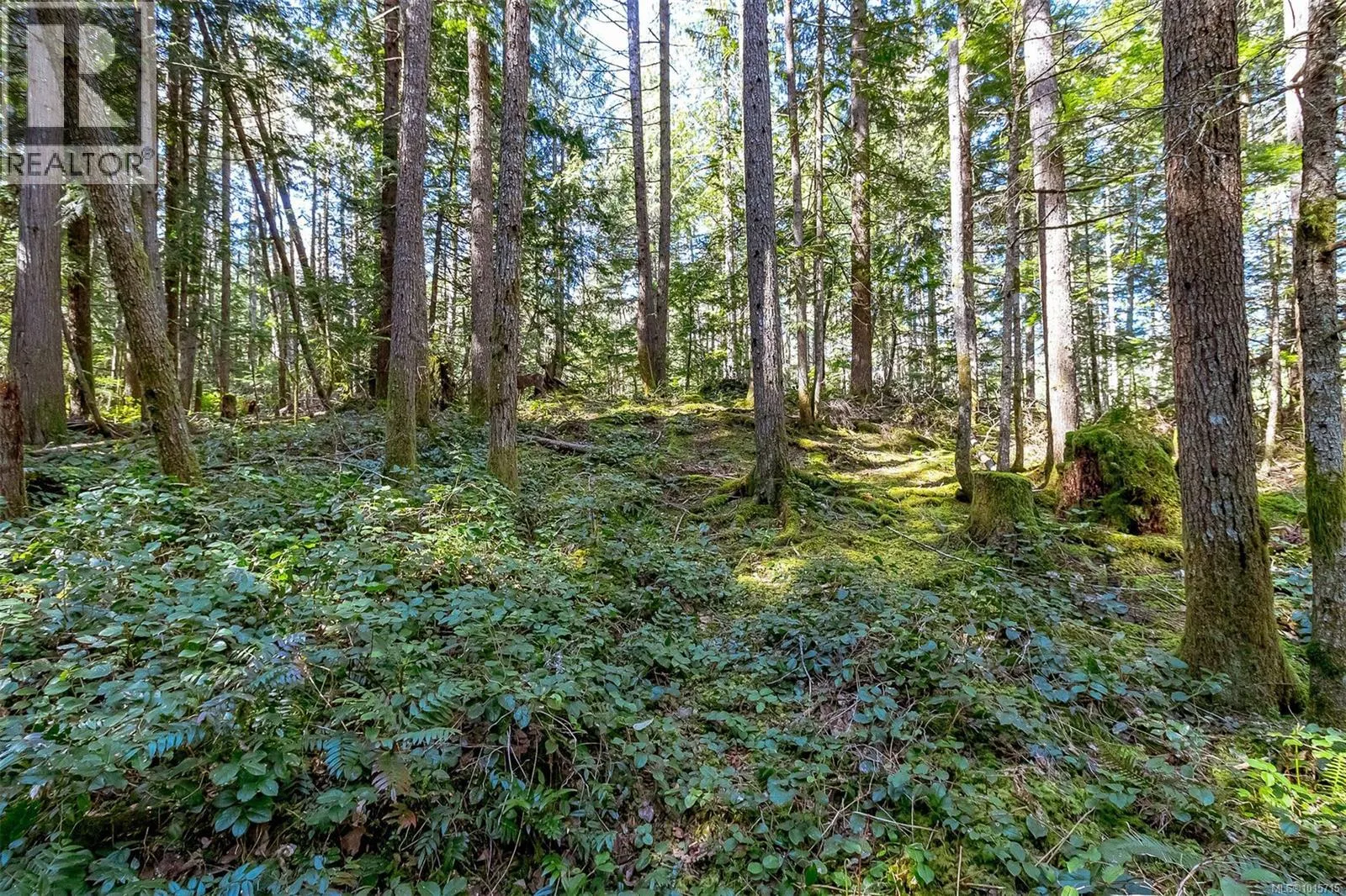 Lot 12 Mountain Rd