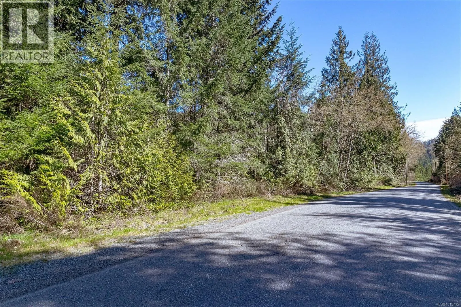 Lot 12 Mountain Rd