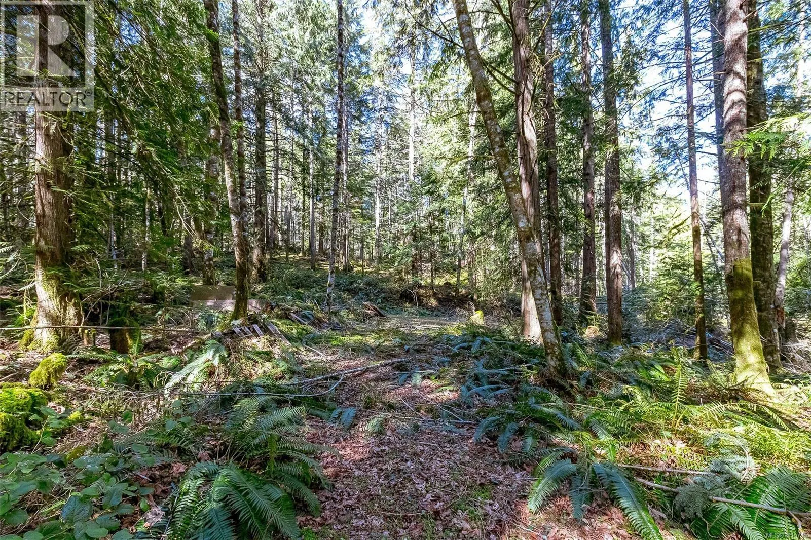 Lot 12 Mountain Rd