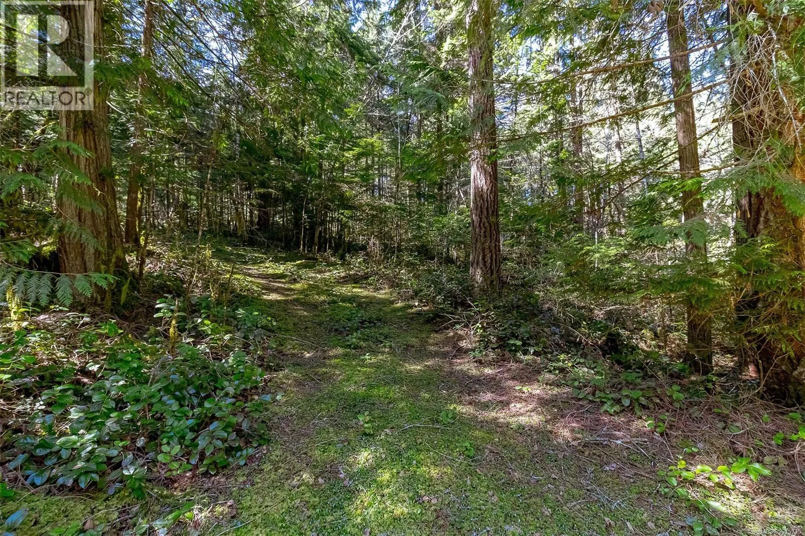 Lot 12 Mountain Rd