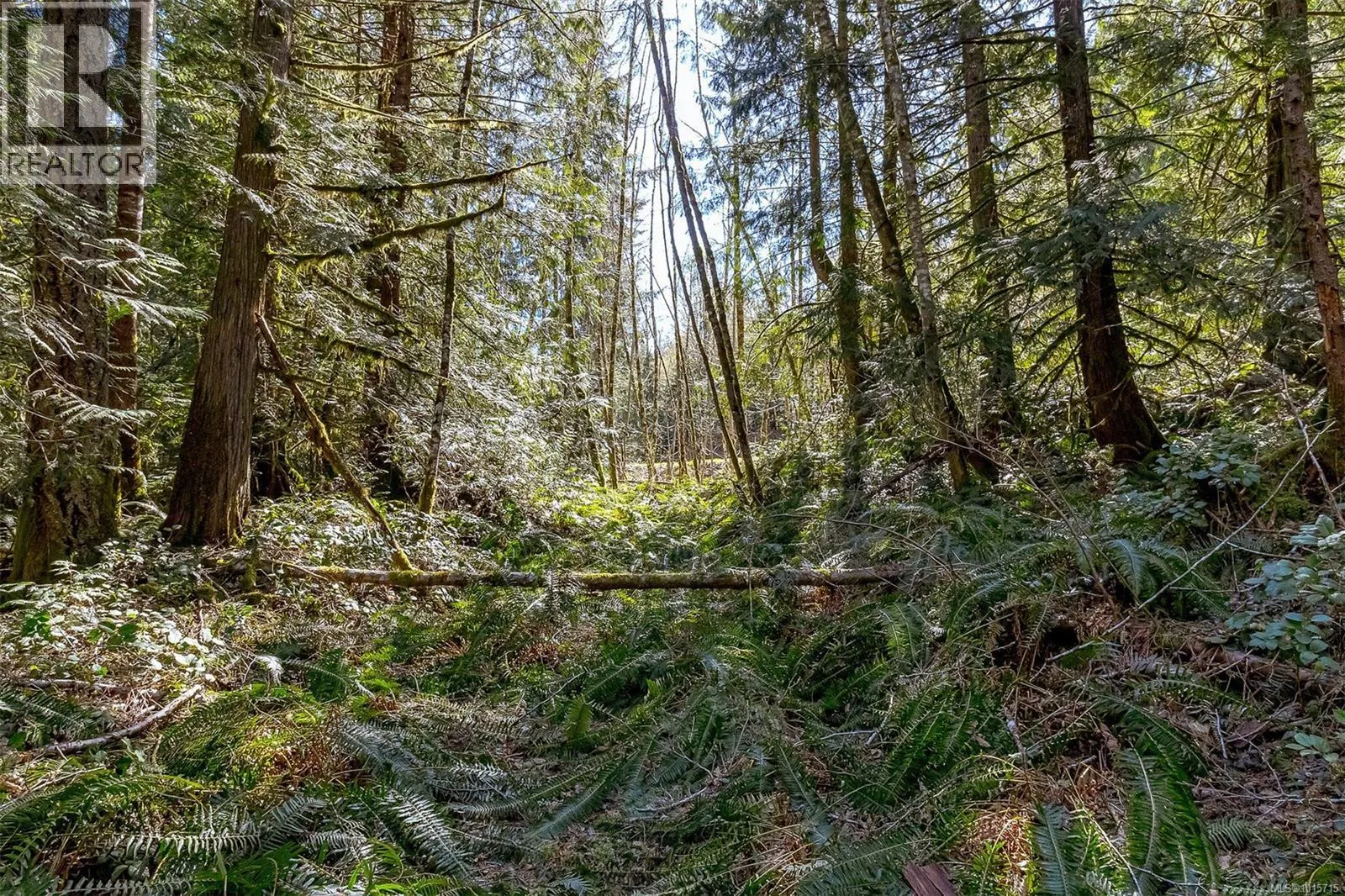 Lot 12 Mountain Rd