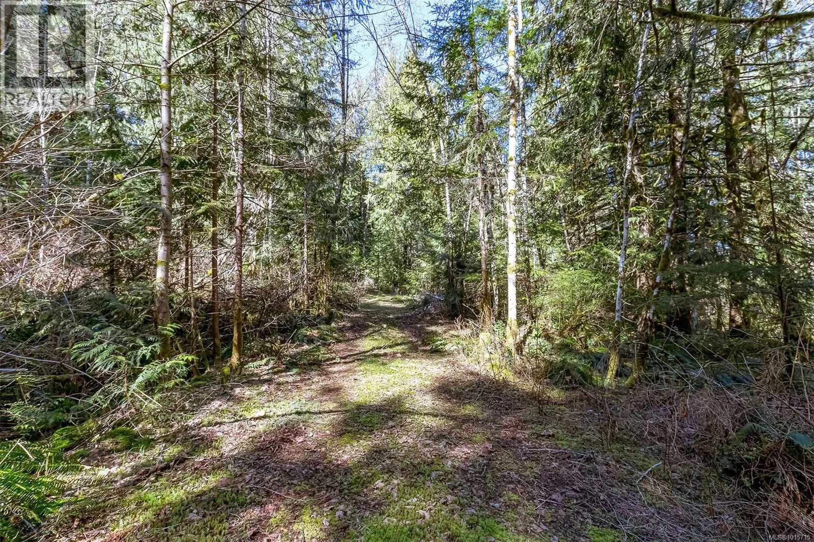 Lot 12 Mountain Rd