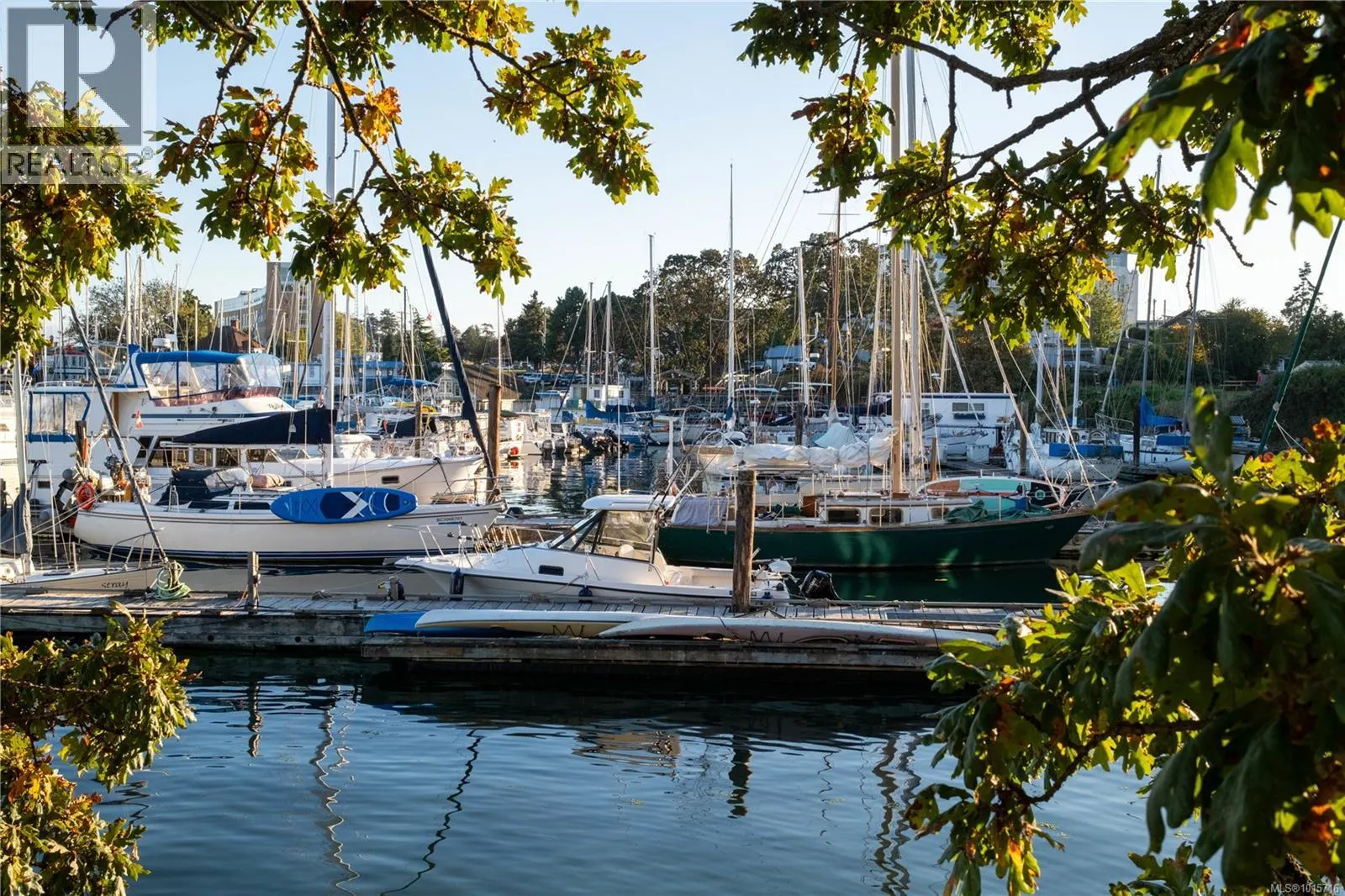 107 873 Esquimalt Rd