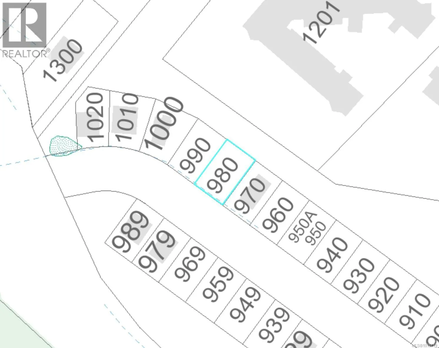 980 Cruikshank Ridge