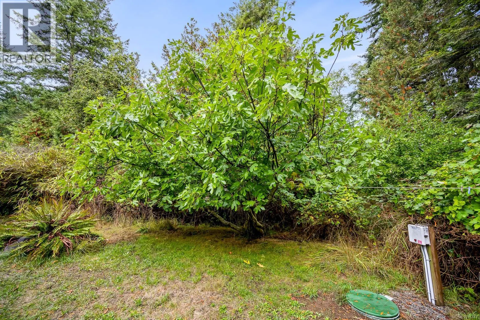5450 Seawright Rd