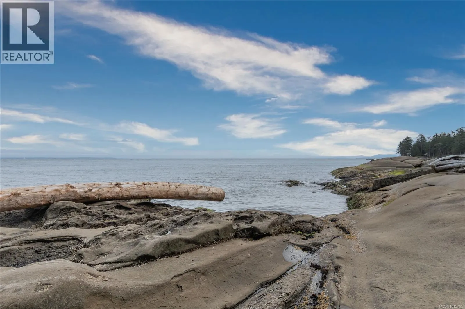 105 Island Park Dr