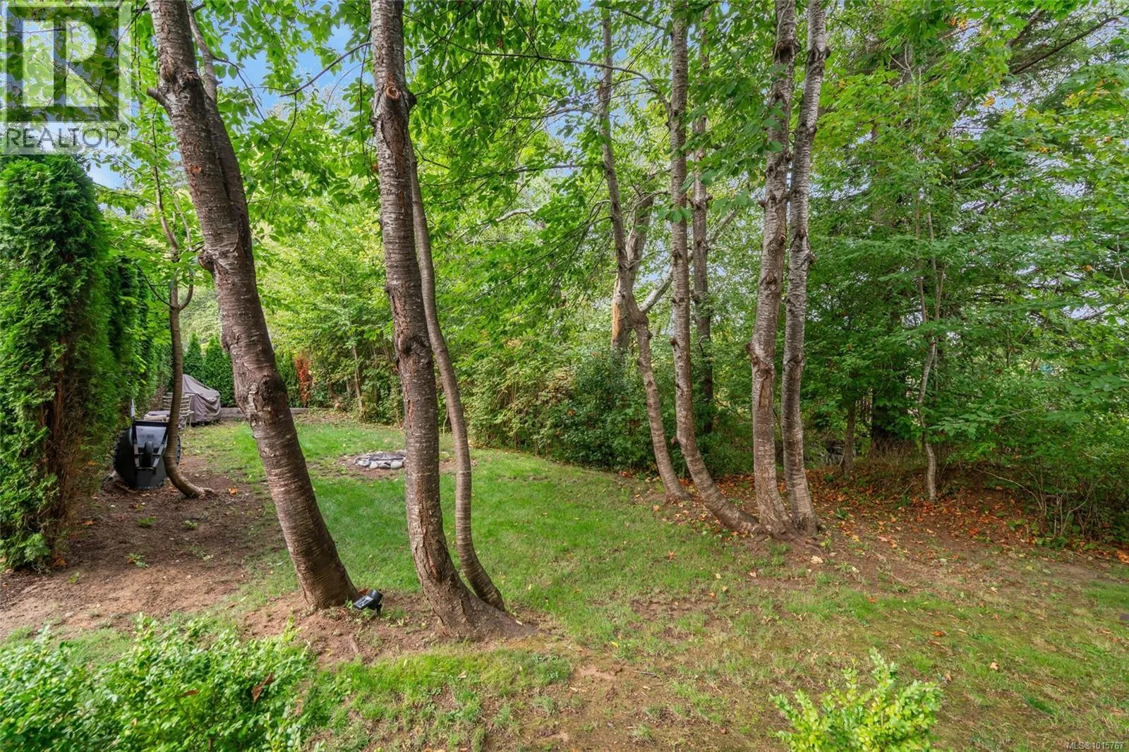 3943 Dillman Rd