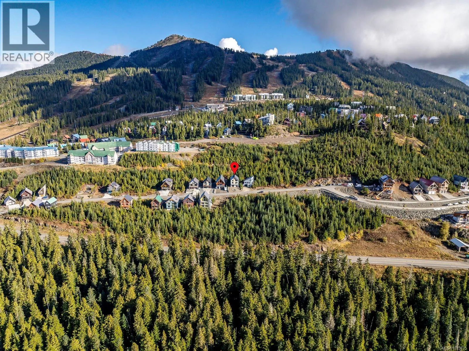 860 Cruikshank Ridge