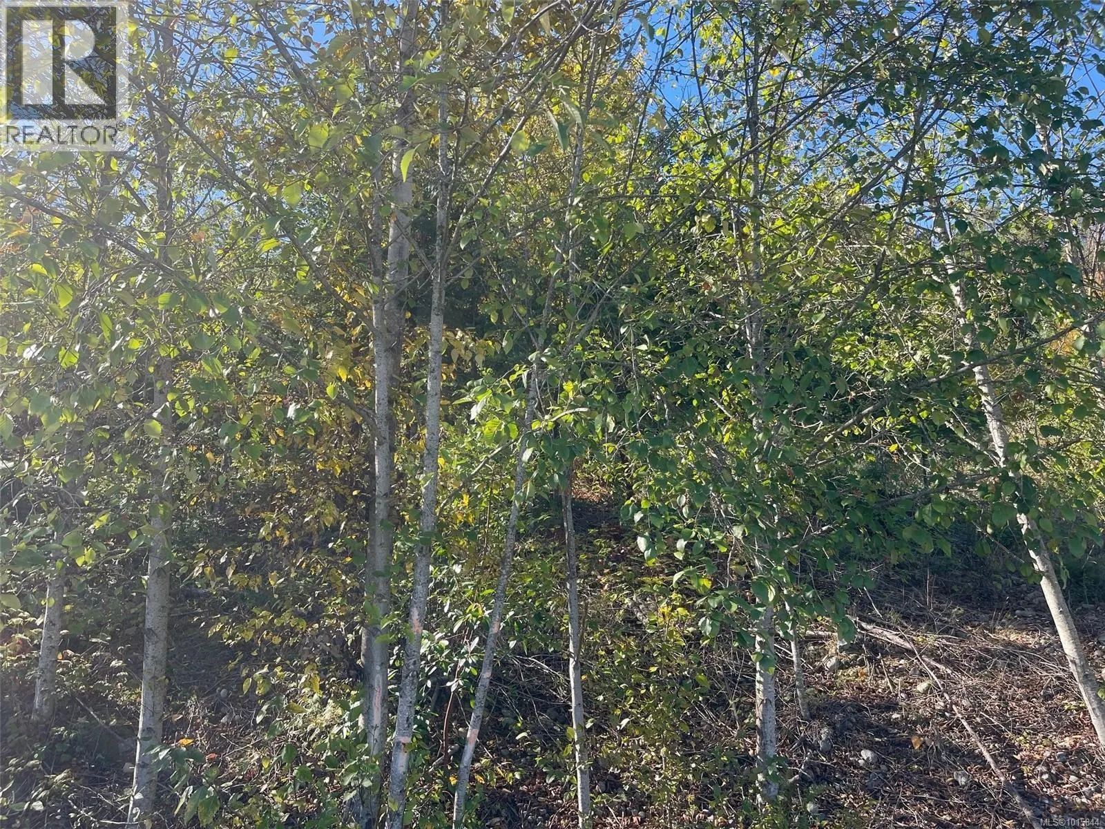 436 Thetis Dr