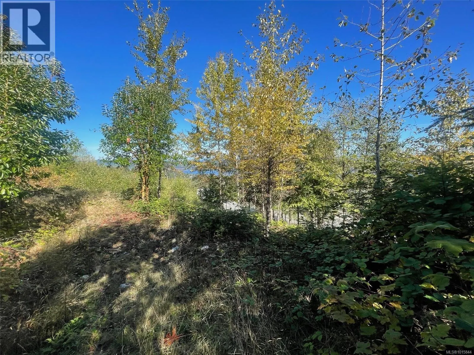436 Thetis Dr