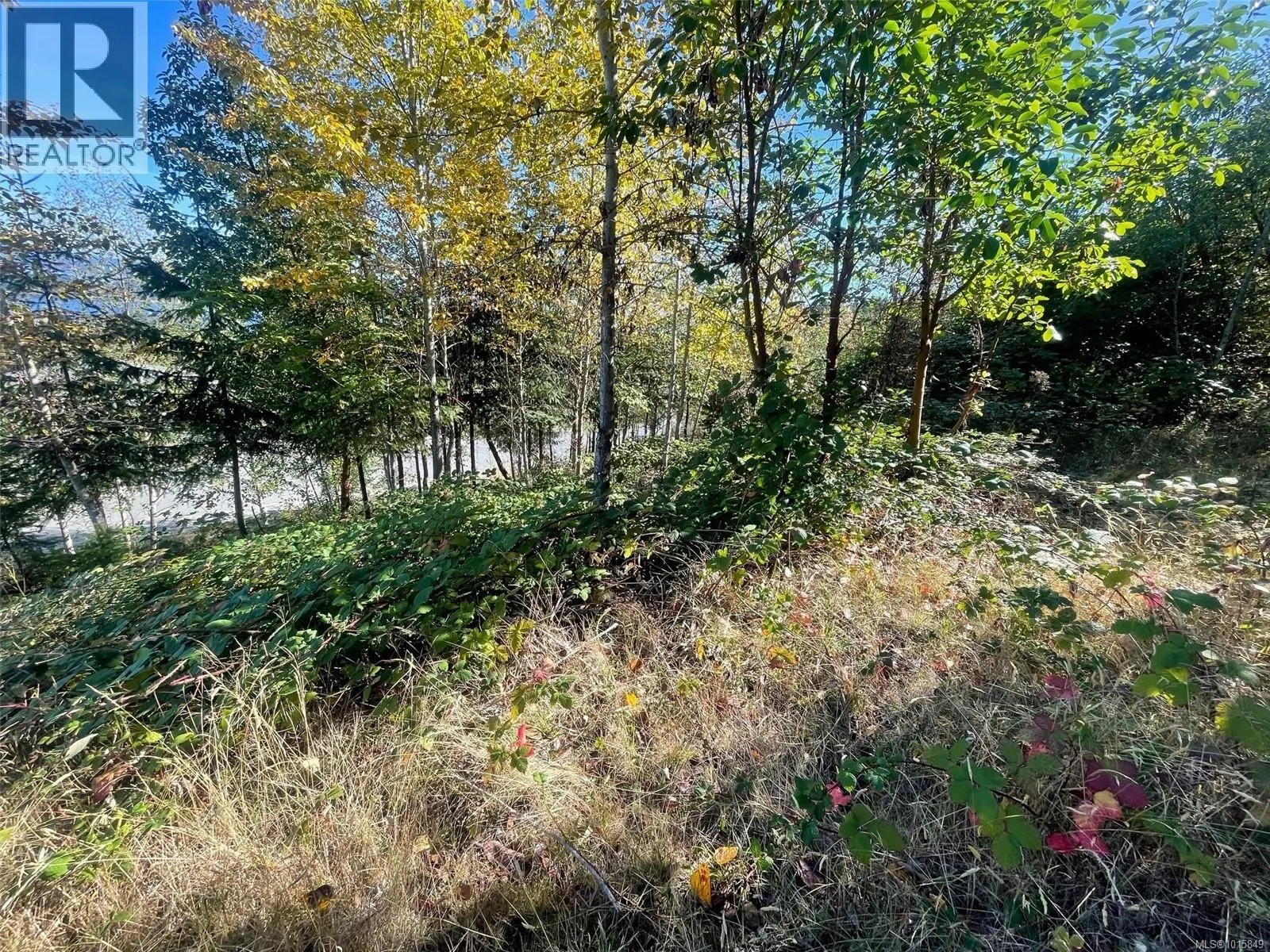 438 Thetis Dr