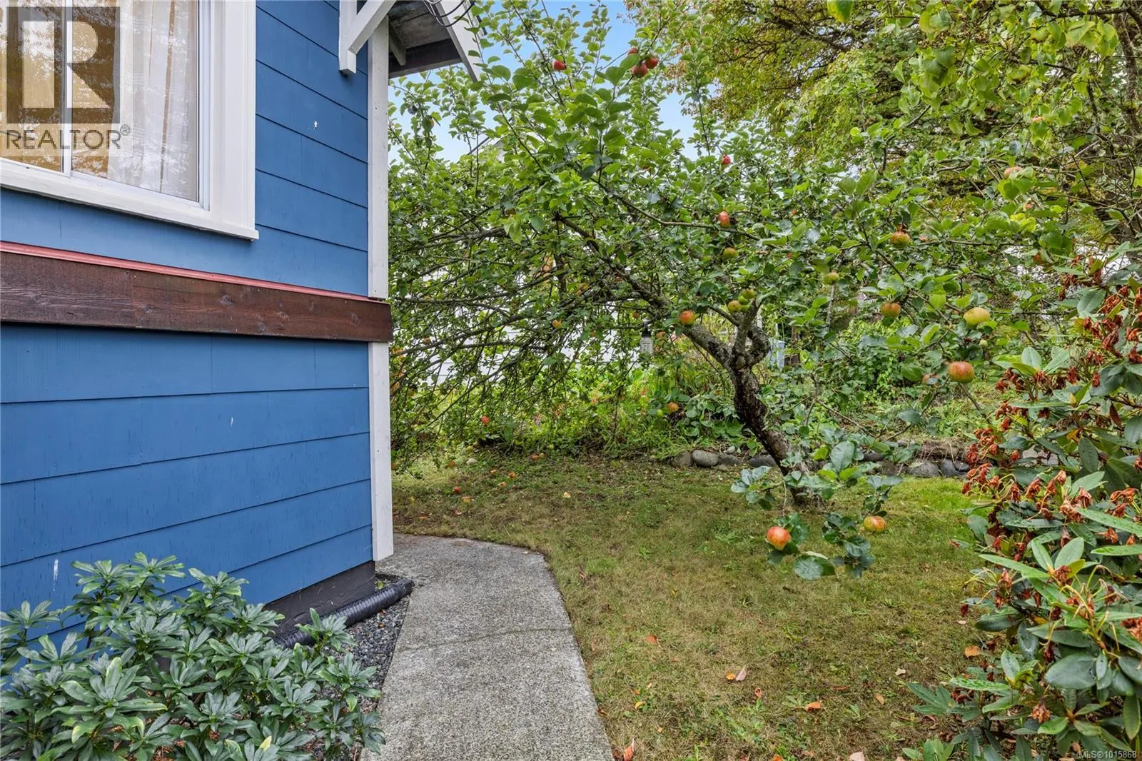 309 Baden Powell St