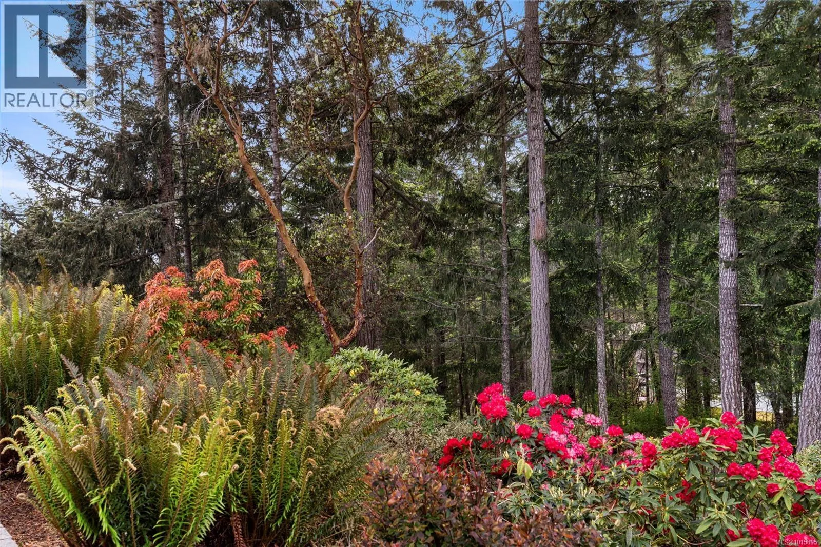 4980 Deer Park Trail