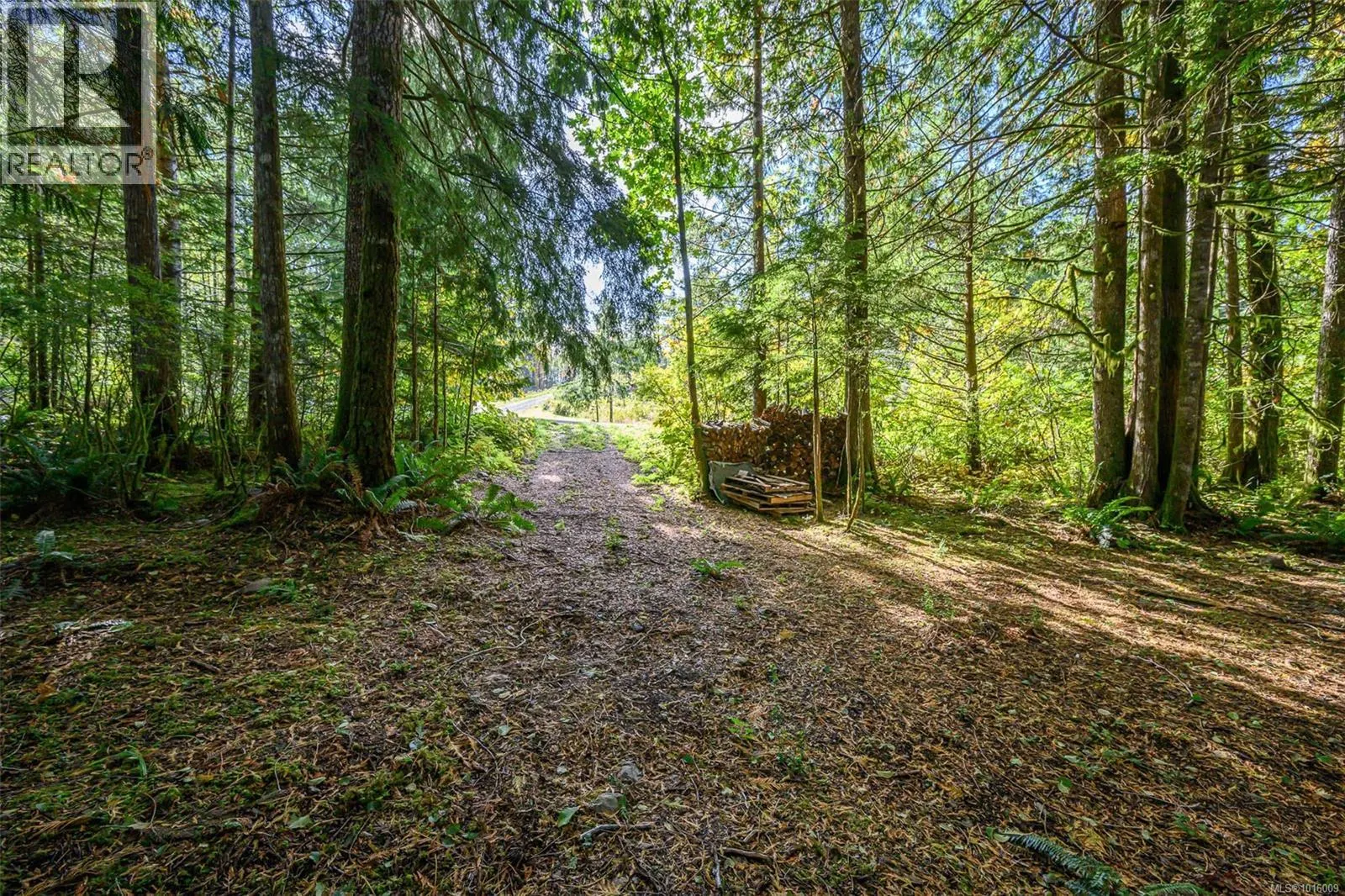 584 Sabre Rd