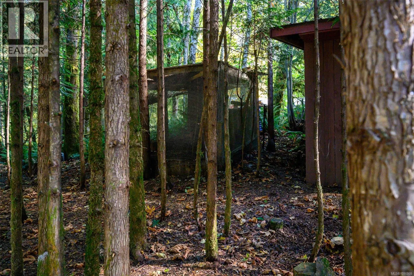 584 Sabre Rd
