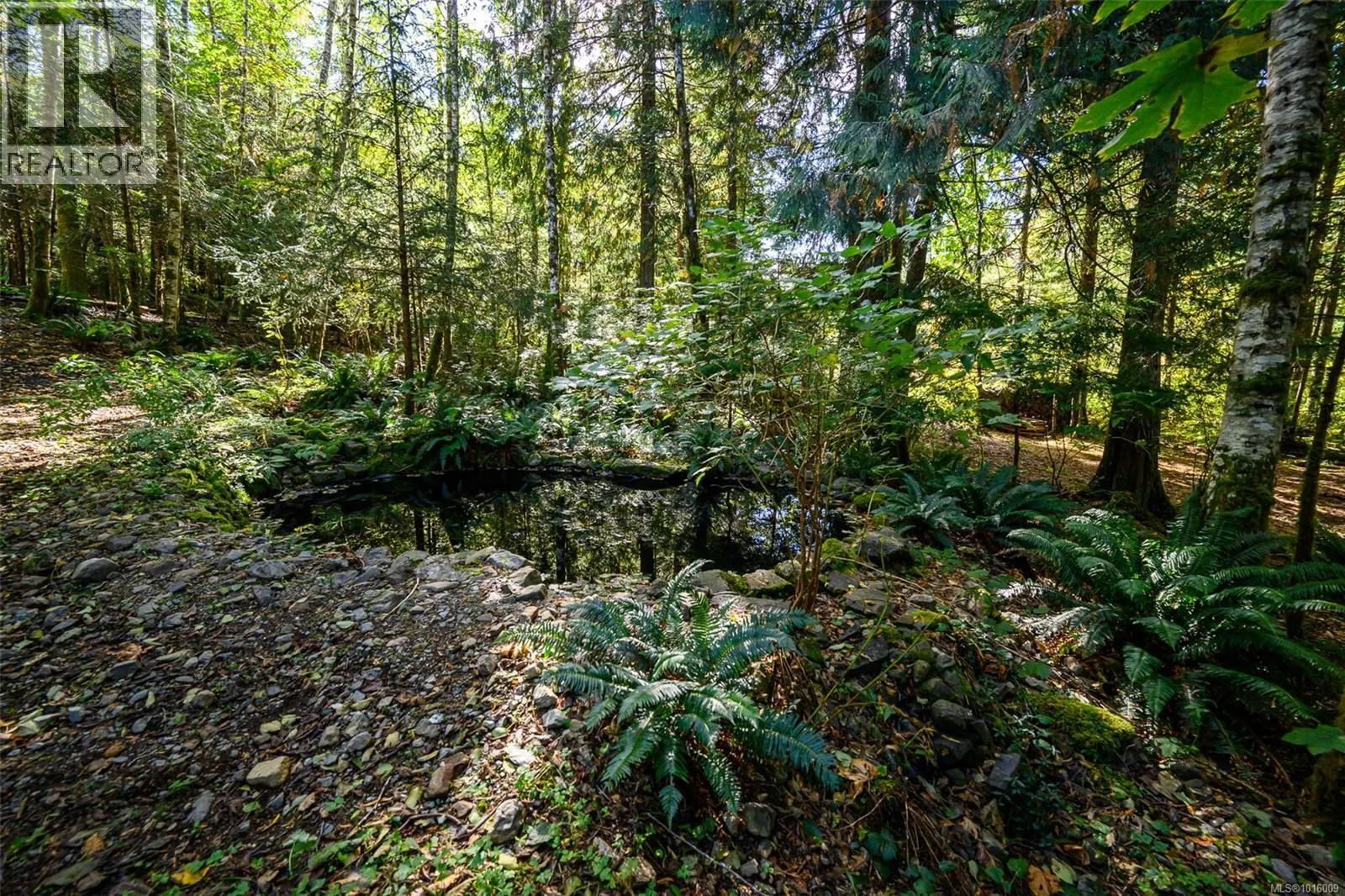584 Sabre Rd