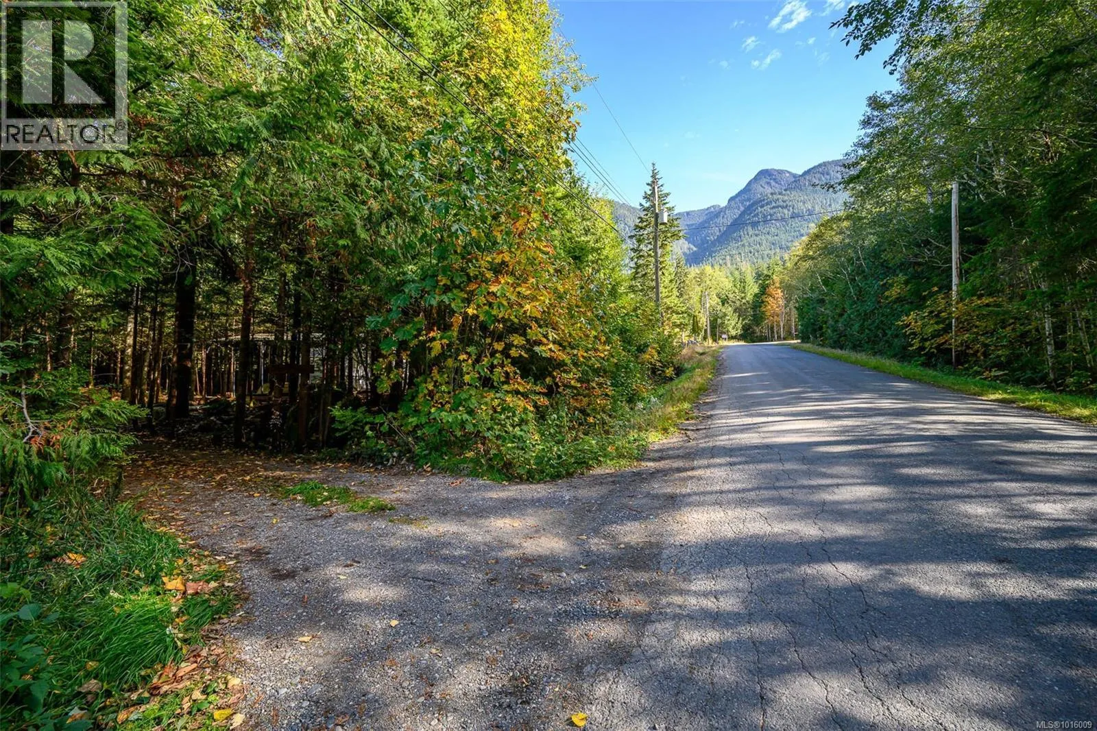 584 Sabre Rd