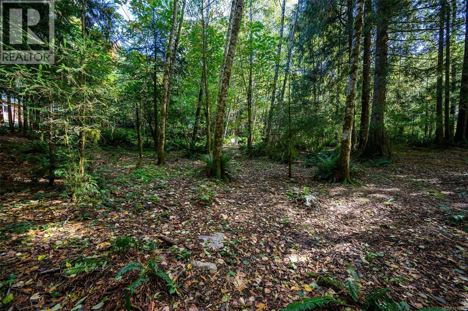 584 Sabre Rd