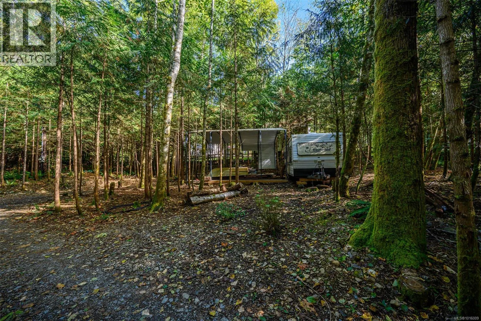 584 Sabre Rd