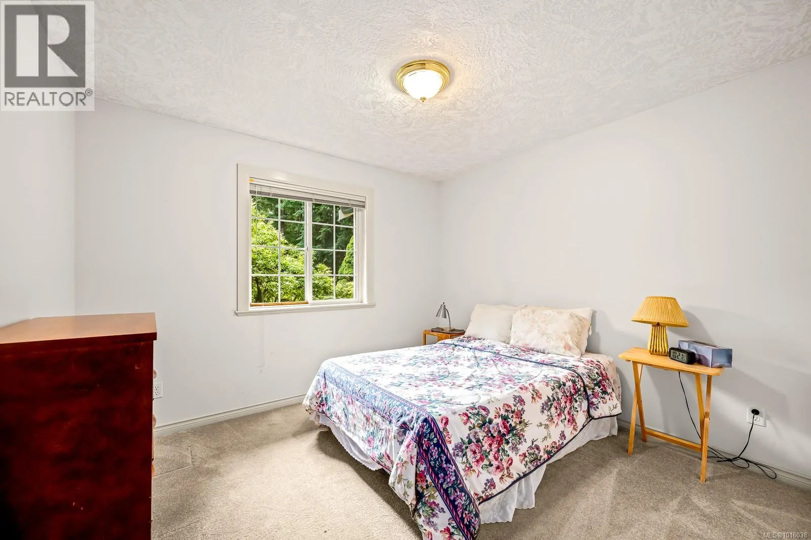 1294 WILLIAMS BEACH Rd