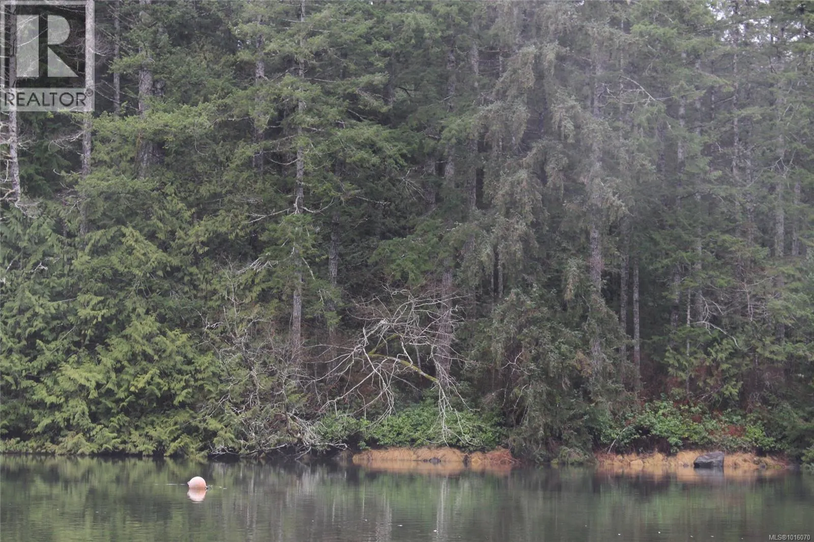 Lot 60 Busby Island