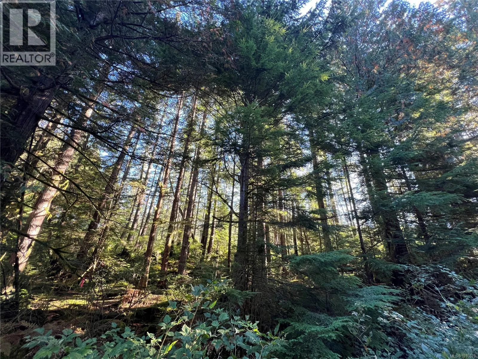 Lot 60 Busby Island