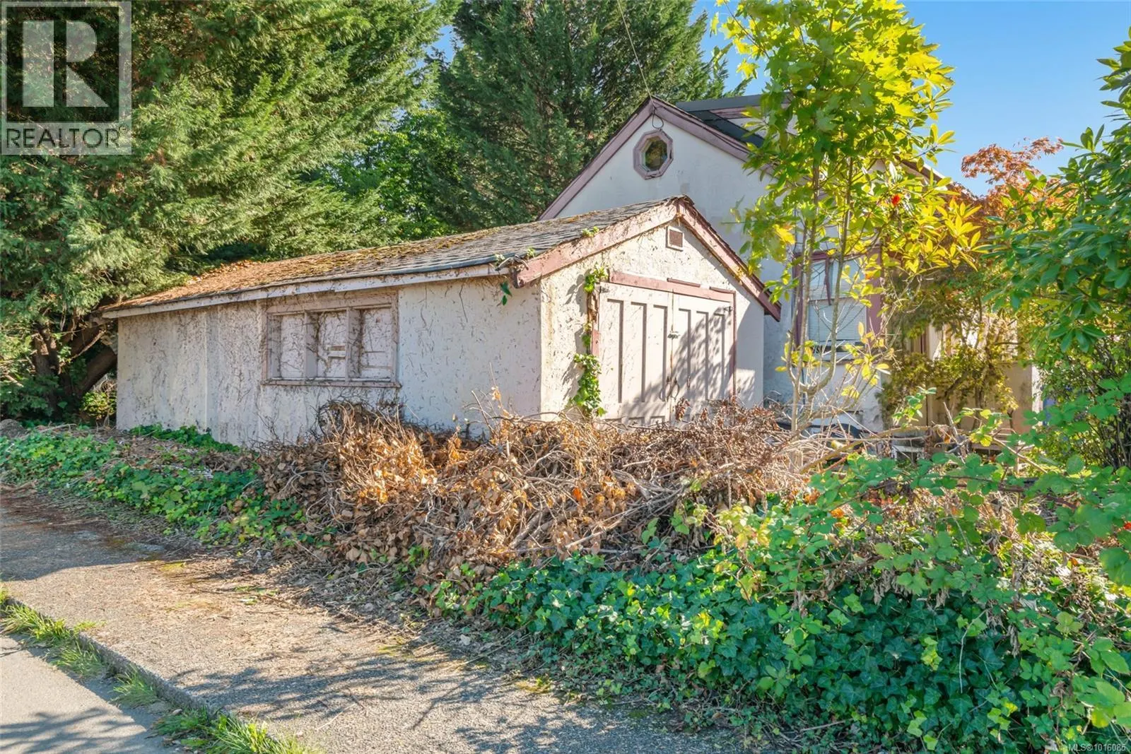 3895 11th Ave