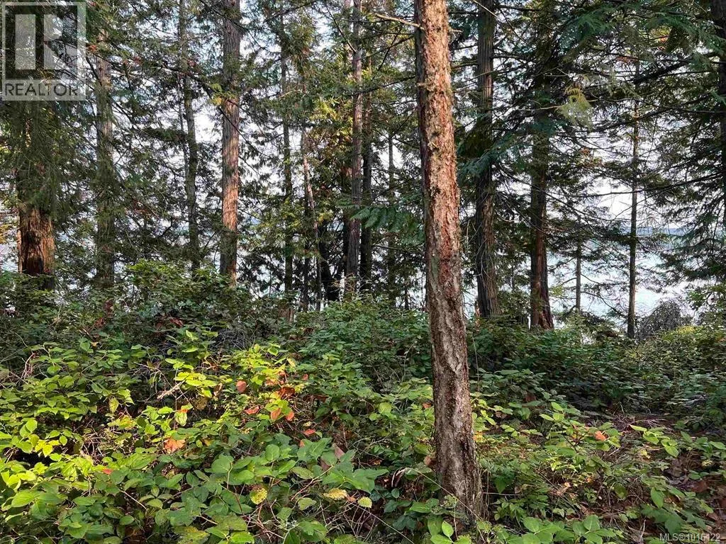 Lot 2 North End Rd