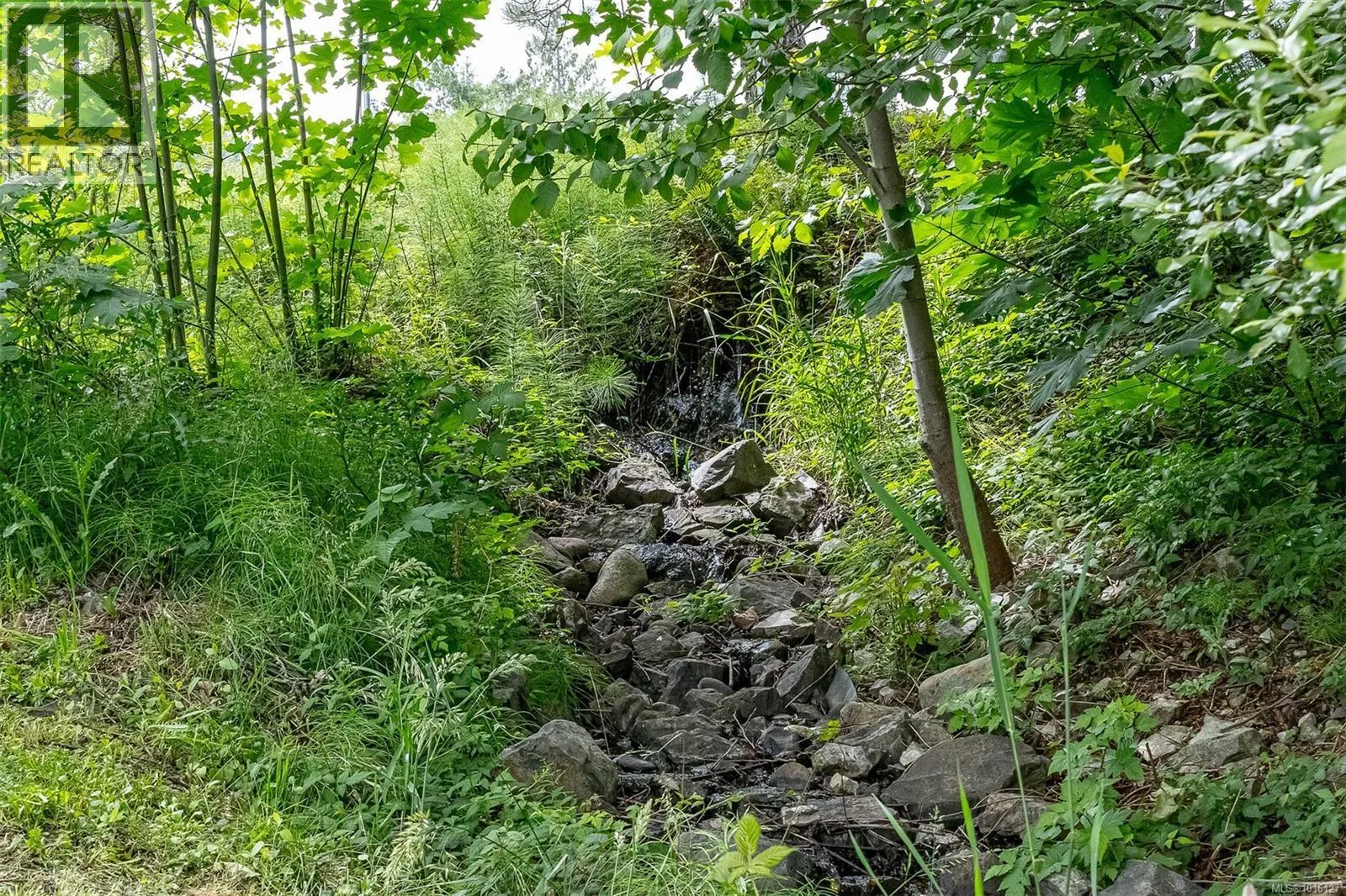 1655 Wyatt's Way
