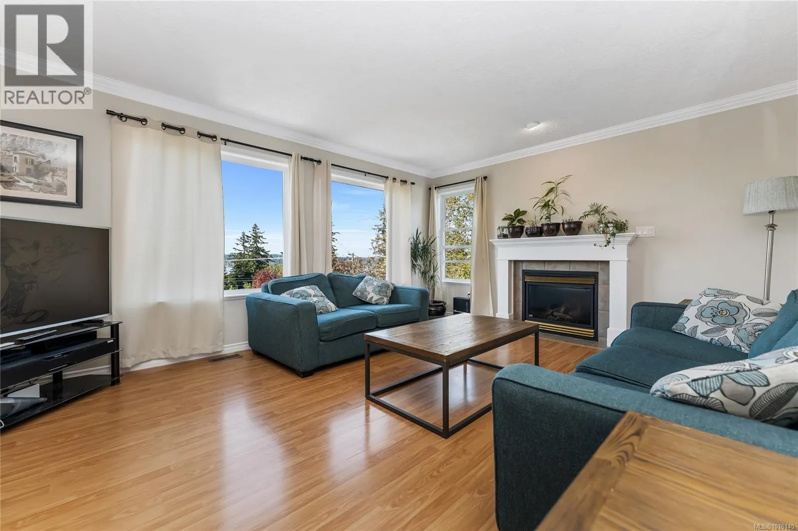 517 Louise Rd