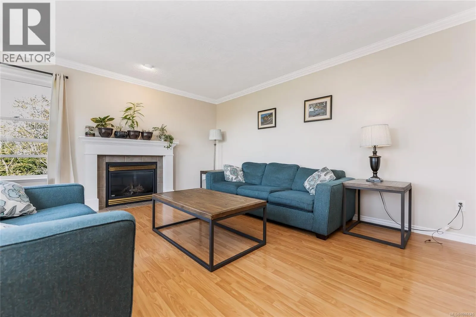 517 Louise Rd