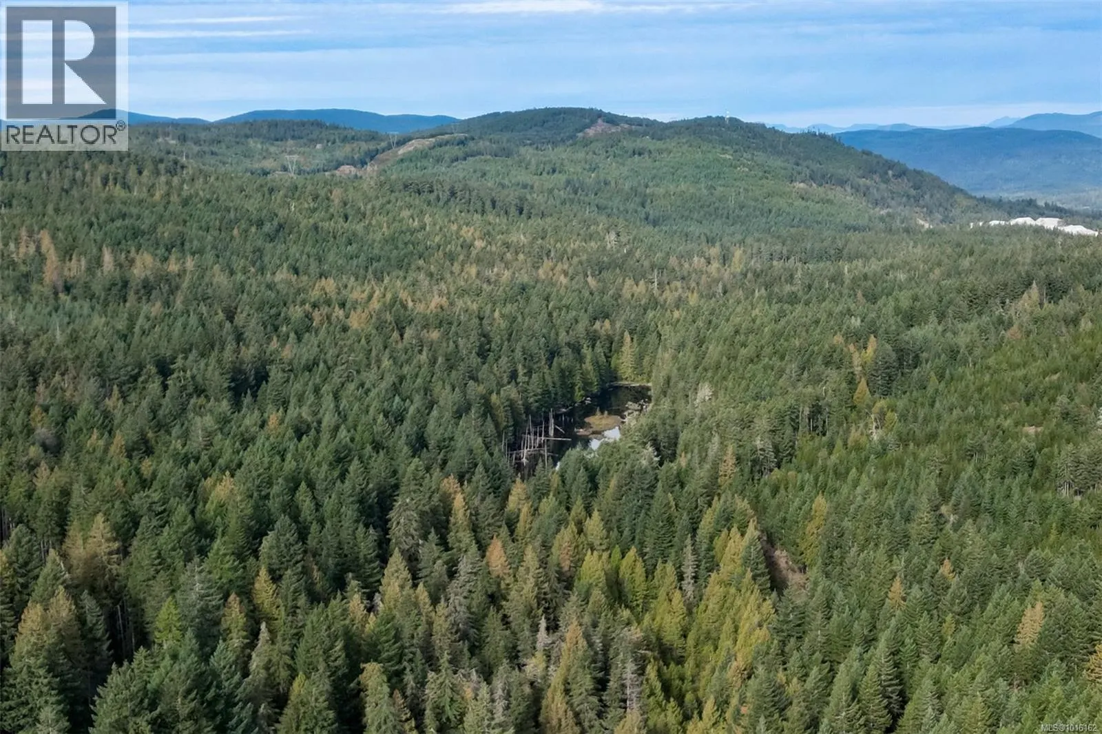 1141 Trailhead Lane