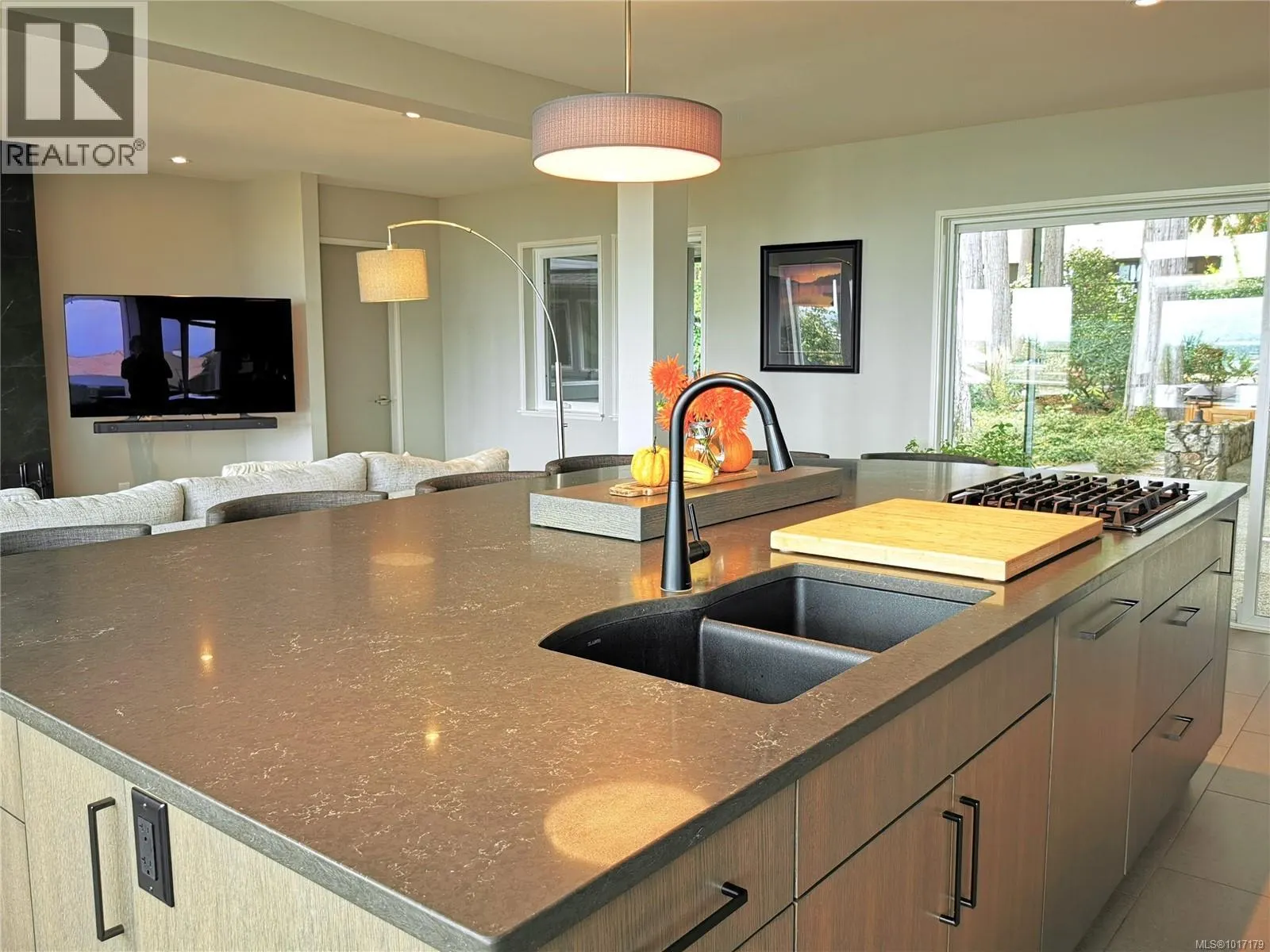 1723 Mayneview Terr