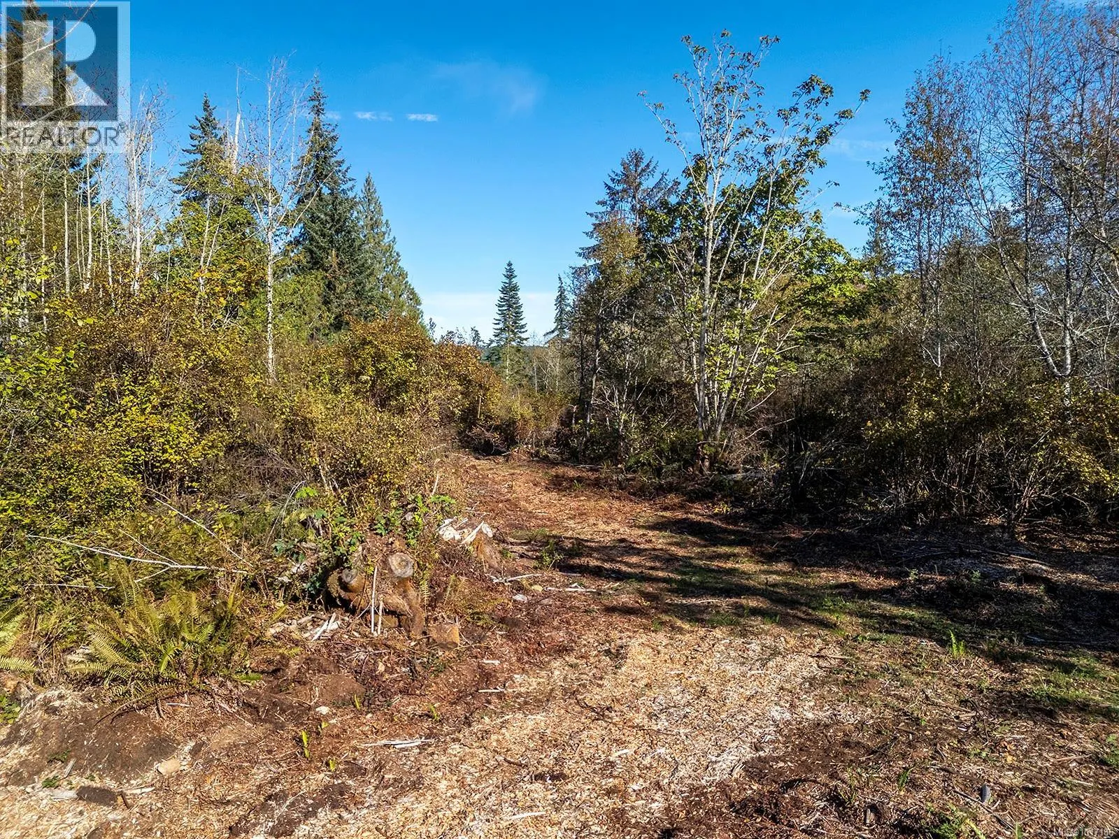 LOT 5 Country Rd