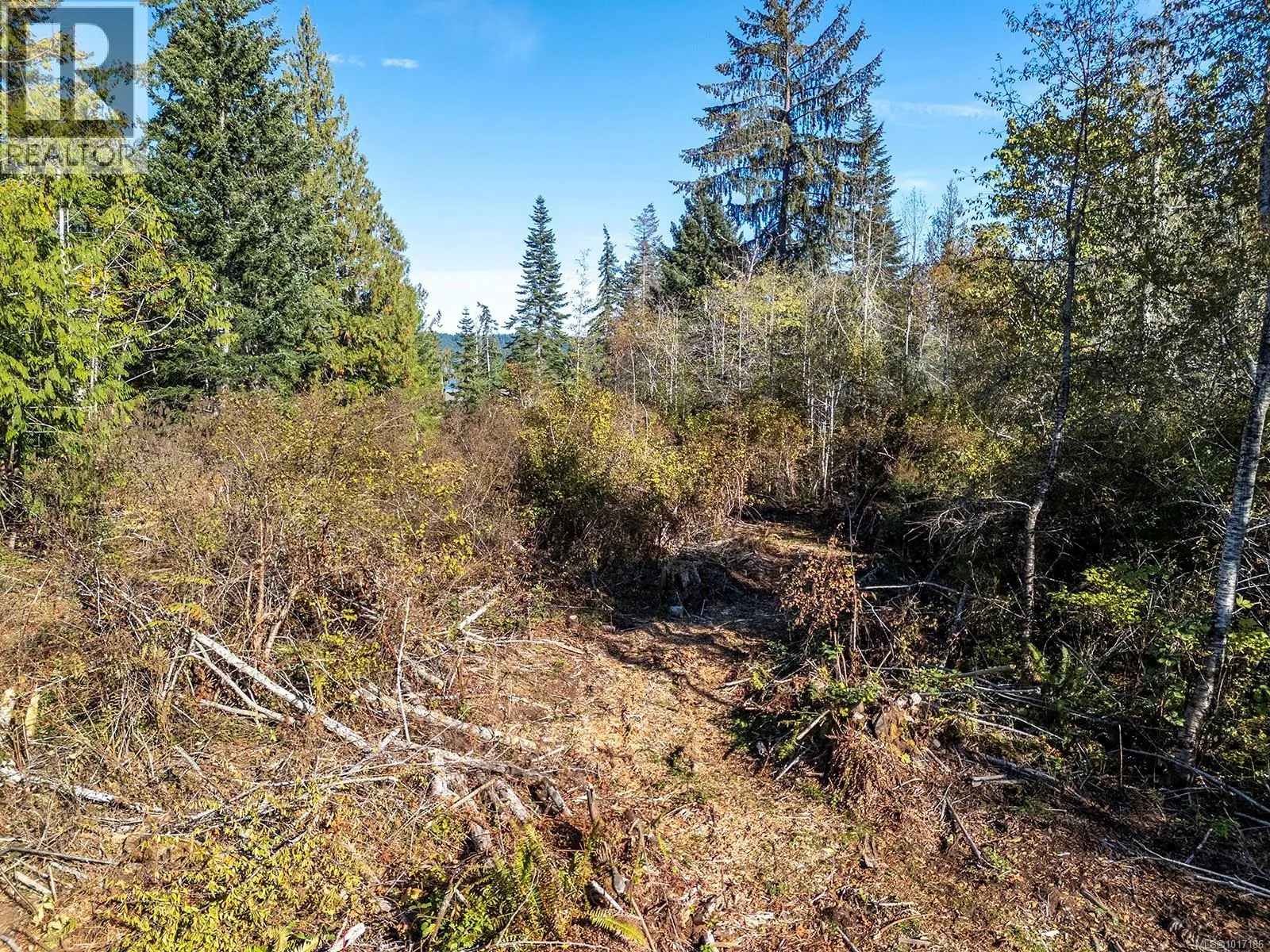 LOT 5 Country Rd