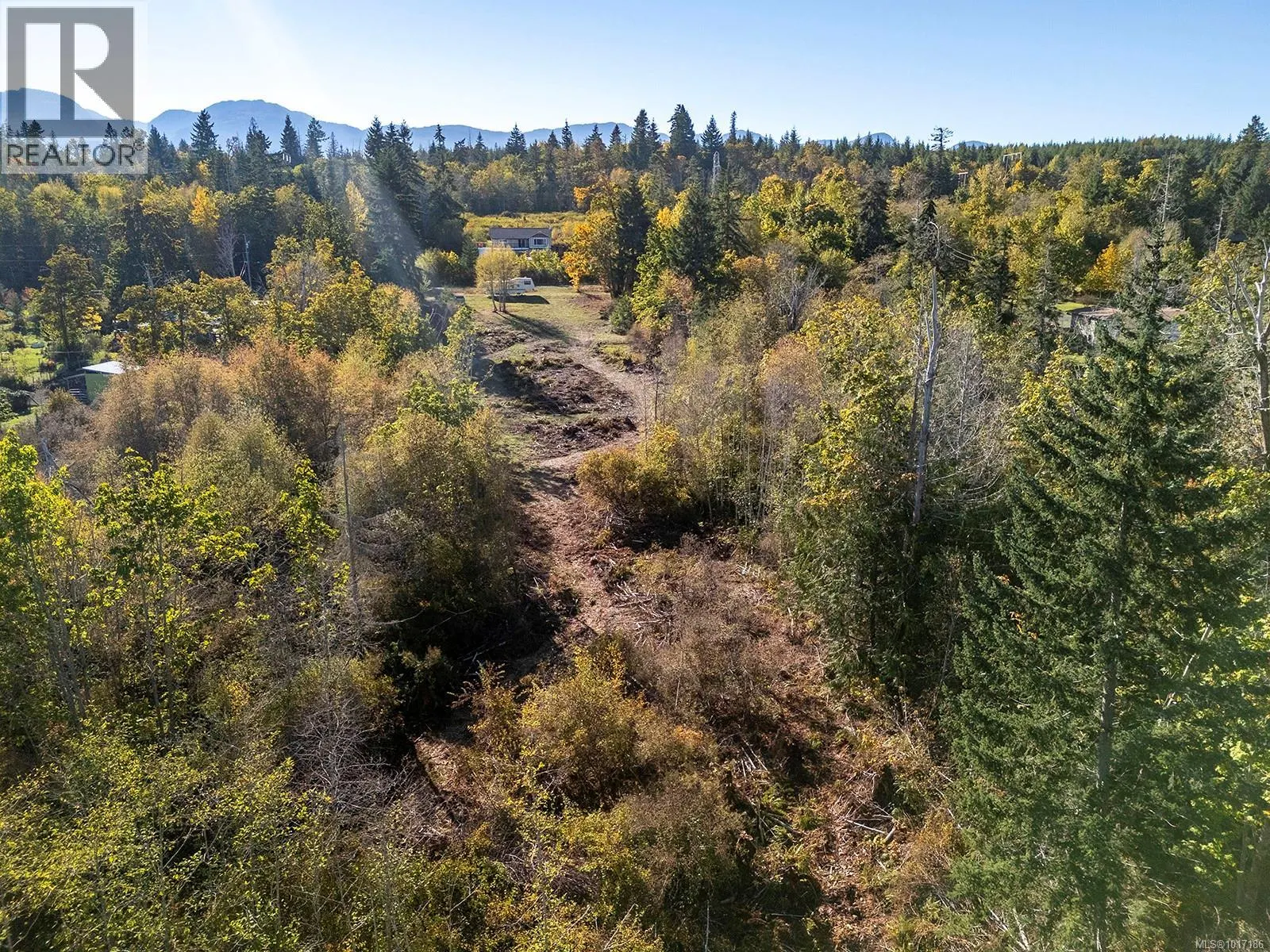 LOT 5 Country Rd