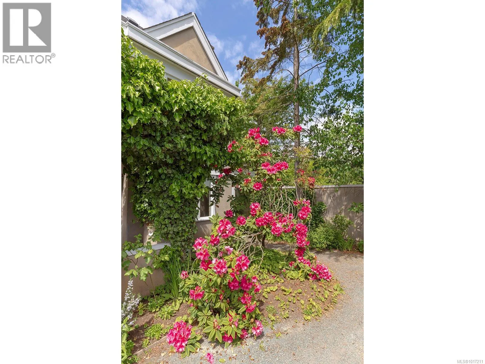 213 Mary St