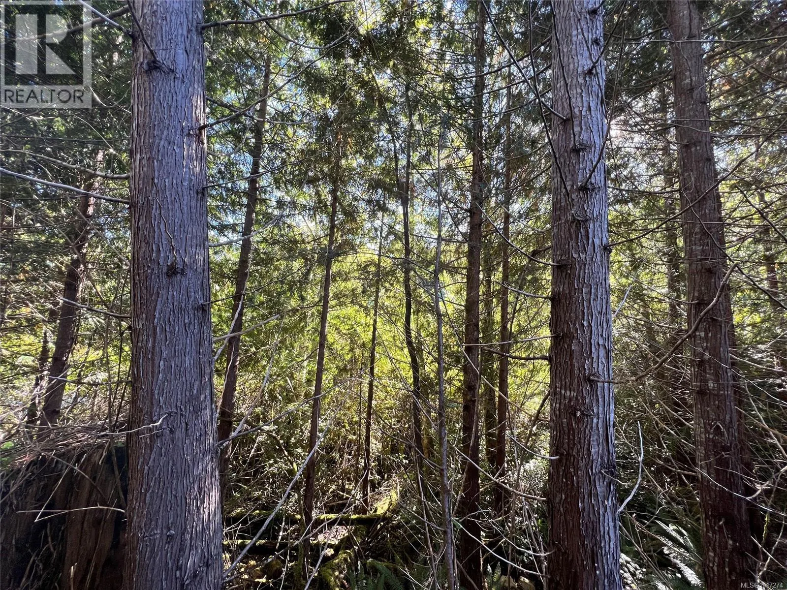 Lot 11 Alice Lake