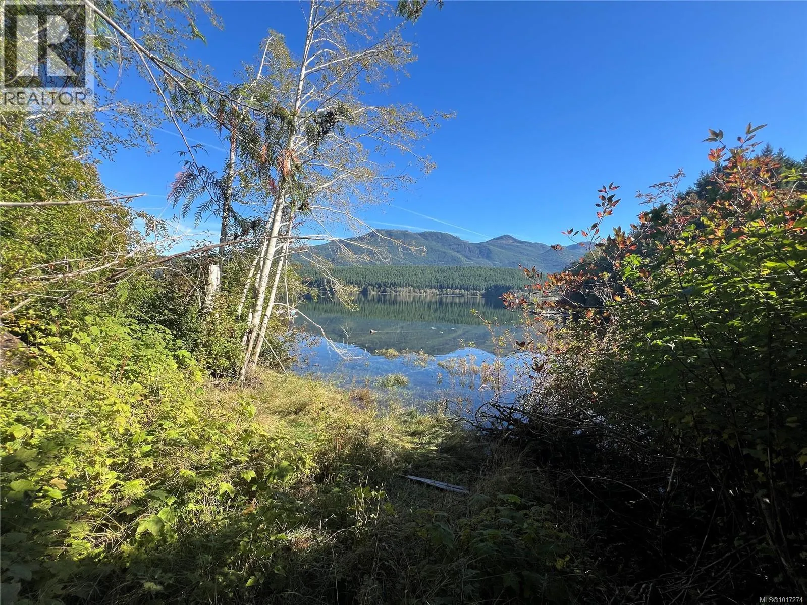 Lot 11 Alice Lake