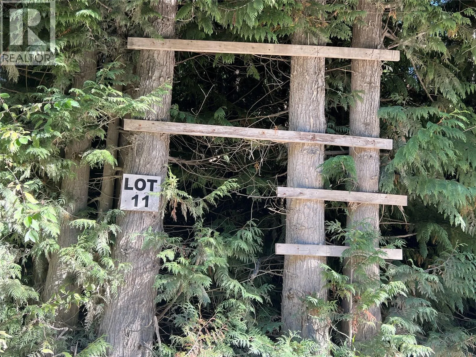 Lot 11 Alice Lake