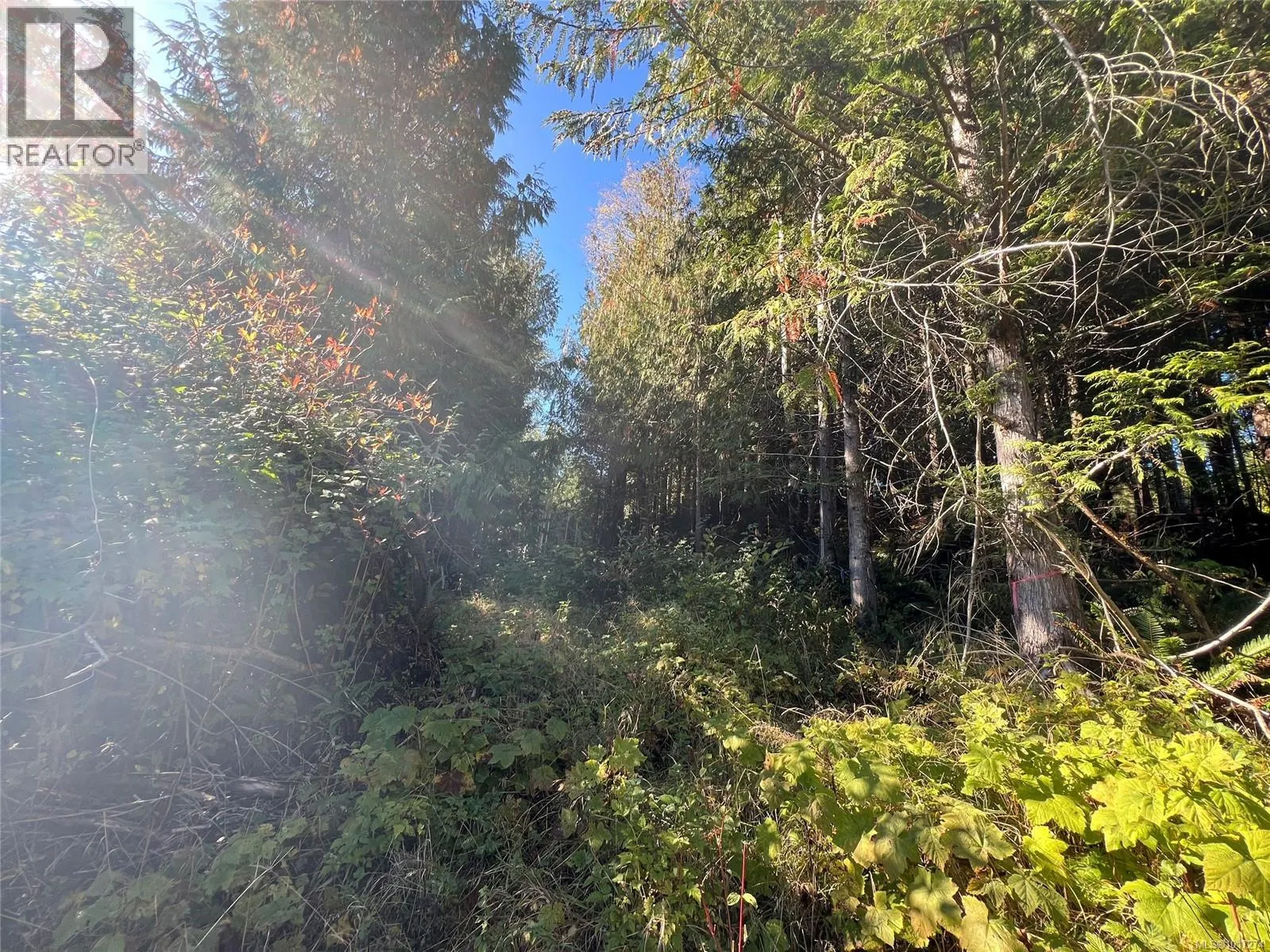 Lot 11 Alice Lake