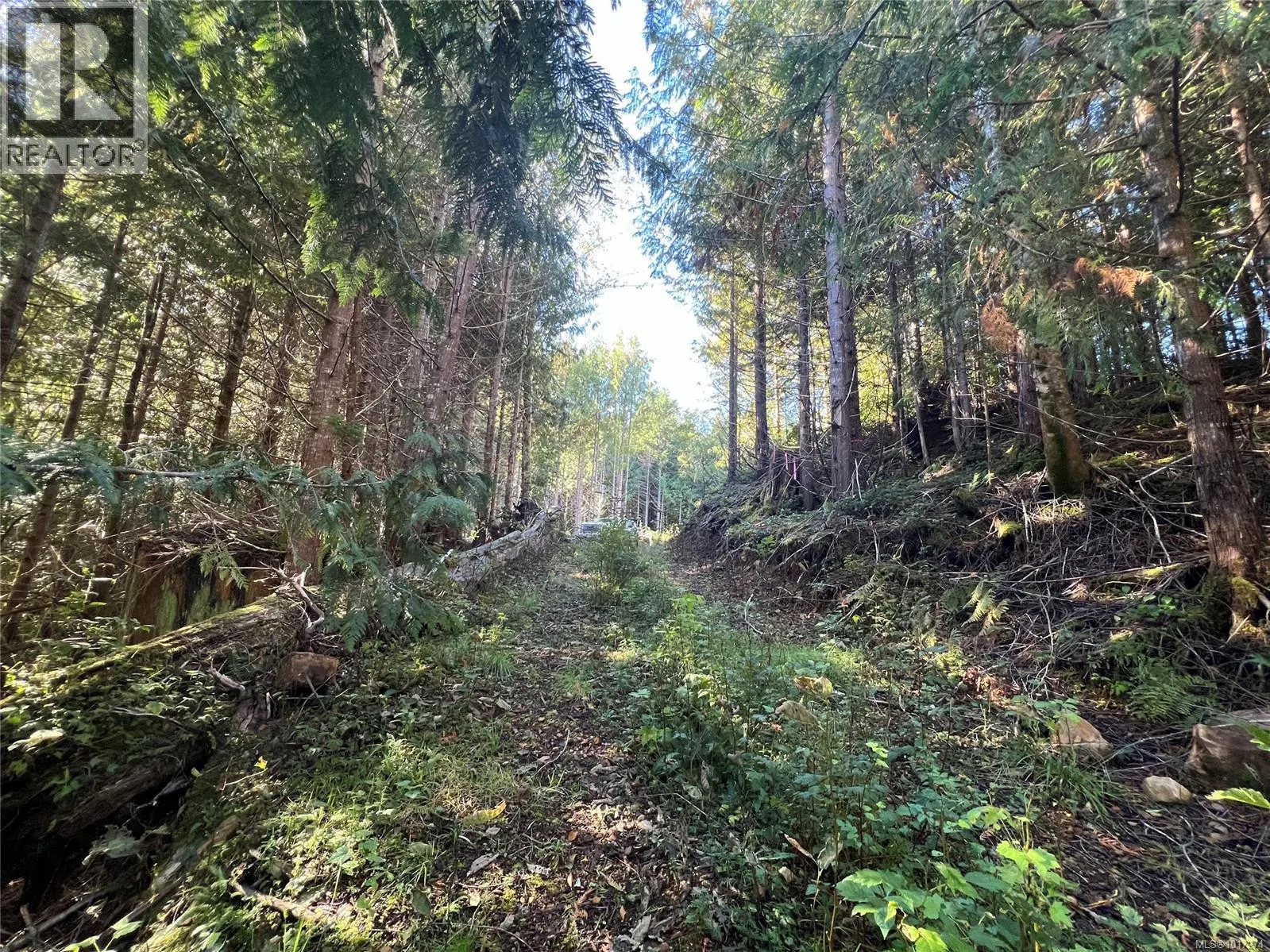 Lot 11 Alice Lake