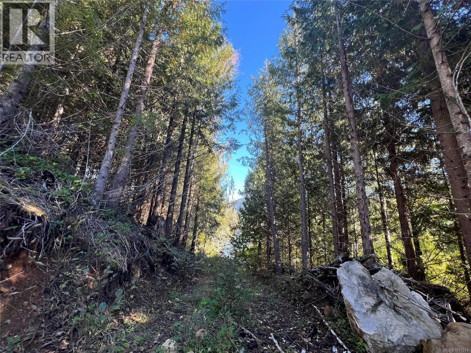 Lot 11 Alice Lake