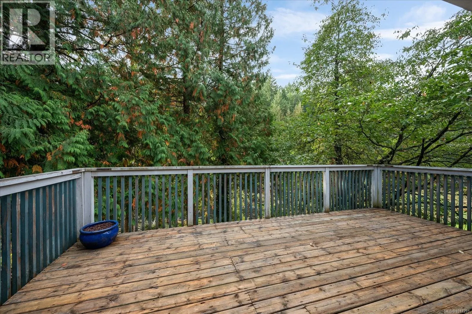 3995 Ross Rd
