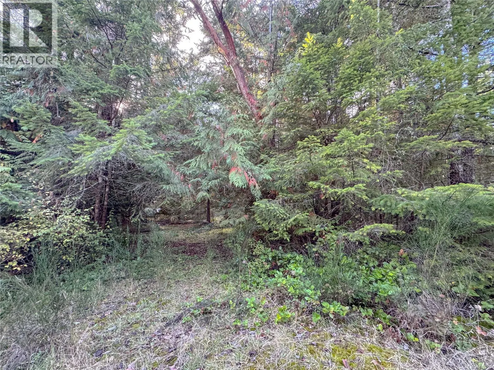 849 Mary Rd