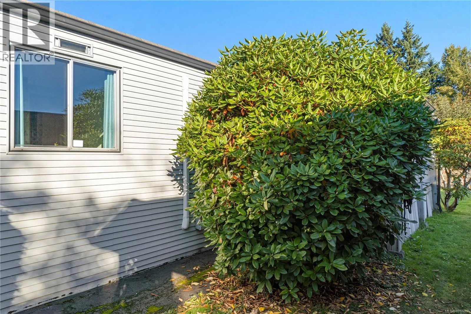 D 1359 Cranberry Ave