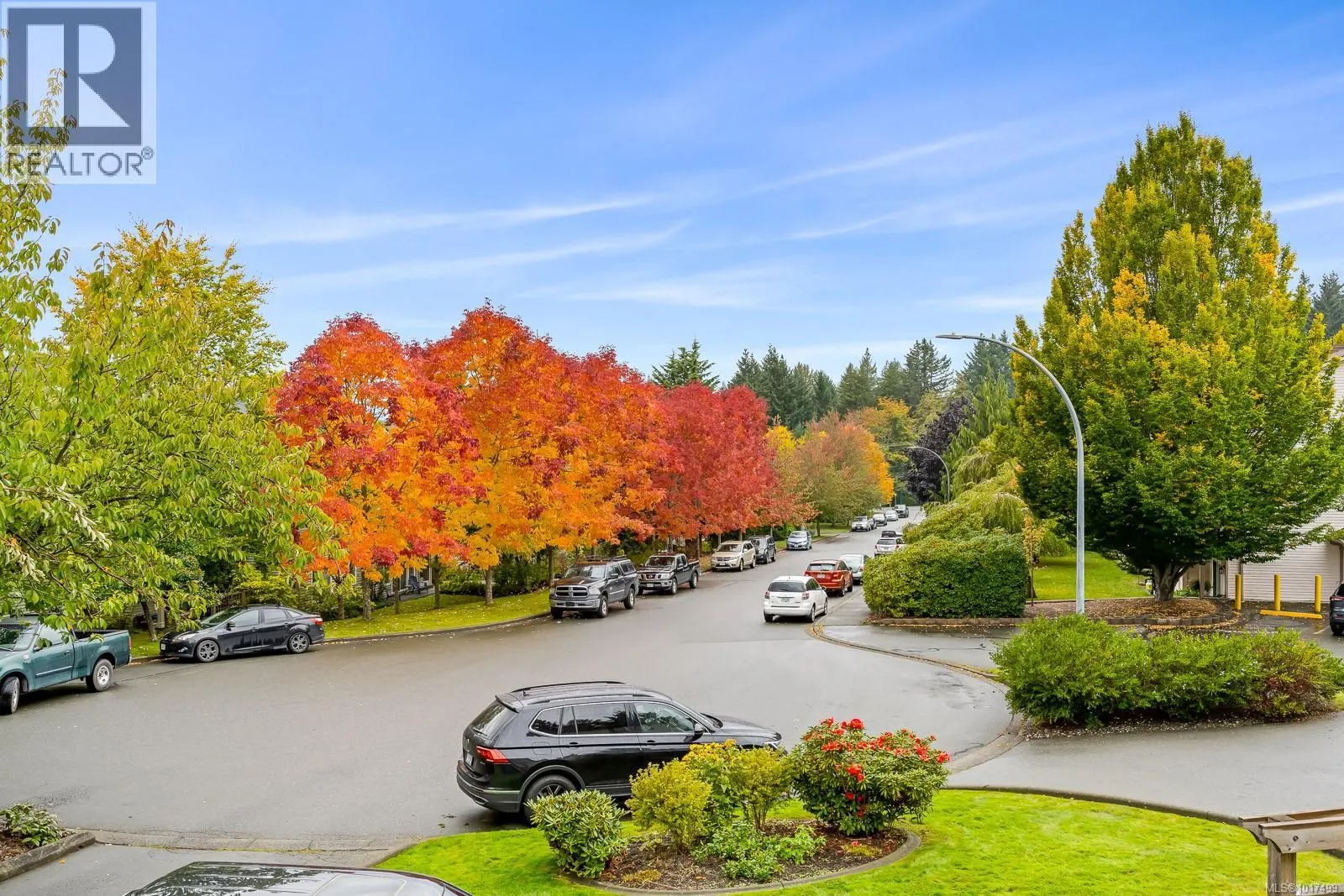 203 4686 Alderwood Pl
