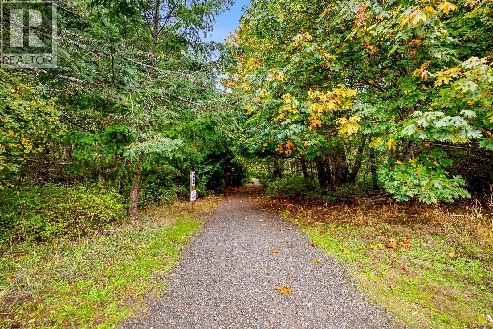 203 4686 Alderwood Pl