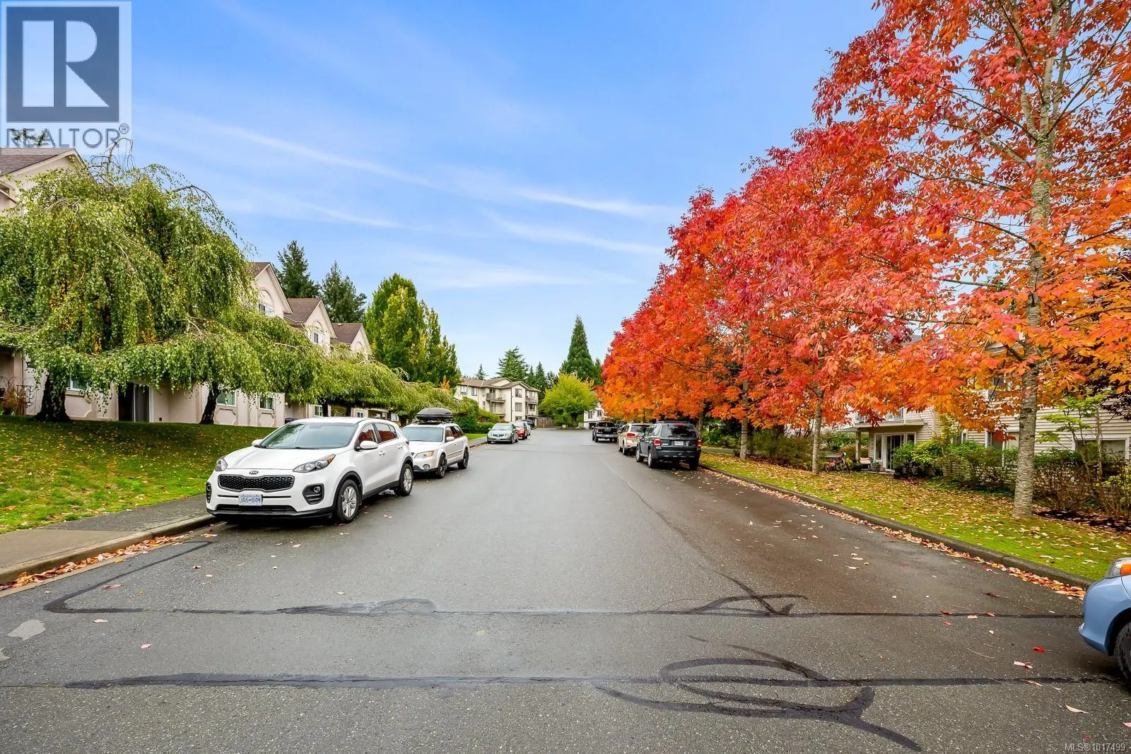 203 4686 Alderwood Pl