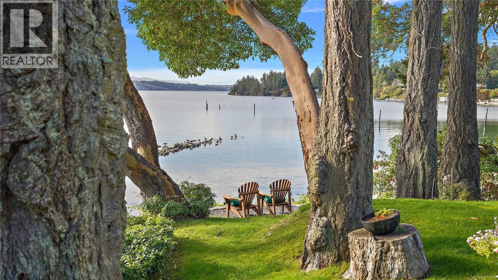 11176 Chalet Rd